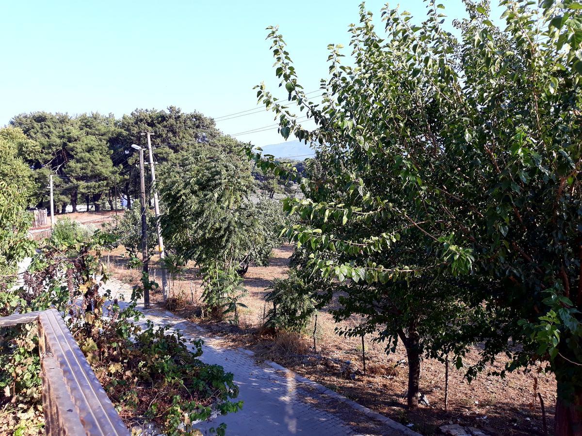 Can Efes Hotel Selçuk Extérieur photo